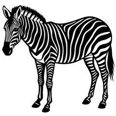 Depicting Create Bold Stroke Silhouette Zebra Graz Vibrant Premium Digital Asset