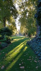 Fototapeta premium Sunlight streams through a park path lined with tall trees, casting long shadows on the green grass.