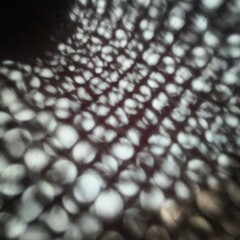 木漏れ日　光　繊維