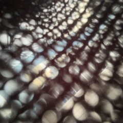 木漏れ日　光　繊維