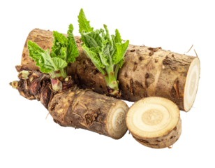 A cluster of fresh ginger roots, showcasing their light brown skin and irregular, knotted shape.