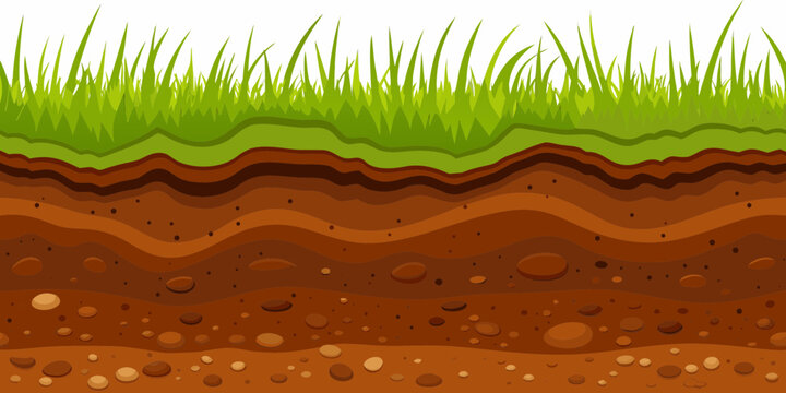 Cross section of soil layers with green grass on top