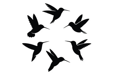Silhouettes of six hummingbirds in flight arranged in a circle
