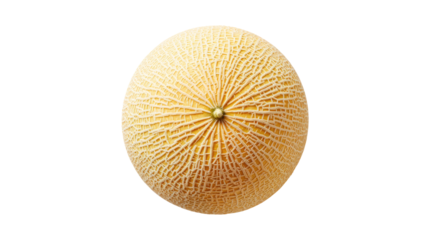 Close-up of a cantaloupe, top view.  Soft, pale yellow flesh.  Distinct, radiating, textured lines.  Small seed spot visible