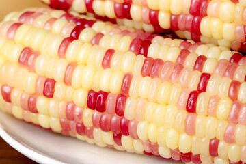 Multicolored Sweet Corn Cobs with Red Yellow White Kernels Yunnan Glutinous Variety on Wood Surface