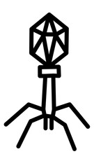 Empty Bacteriophage Virus Vector Design