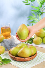 Fresh Chinese Pears in Hand with Traditional Tea - Organic Fruit from Shanxi Shaanxi Xinjiang Regions