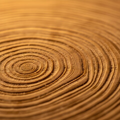 Naklejka premium Close up of tree trunk growth rings showing natural wood texture and annual patterns