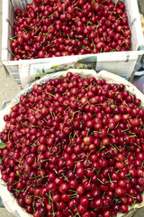 Fresh Red Cherries in Baskets at Shandong Market - Early Harvest American Domestic Fruit