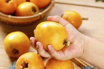 Fresh Loquat Fruit from Yunnan China Held in Hand - Golden Yellow Asian Fruit Ready to Eat