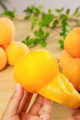 Fresh Golden Peaches in Hands with Mint Leaves on Rustic Wood Background - Sweet Summer Fruit Photography