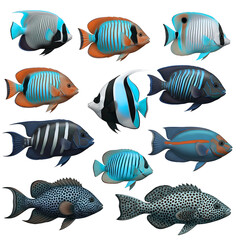 Naklejka premium Collection of colorful tropical fish illustrations 