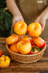 Fresh Golden Peaches in Wicker Basket - Hands Holding Ripe Organic Fruit on Rustic Wood Table