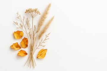 Flat lay of dried autumn leaves and pampas grass on white background suitable for seasonal promotions floral compositions and fall themed design