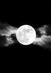 Obraz premium Lunar Embrace