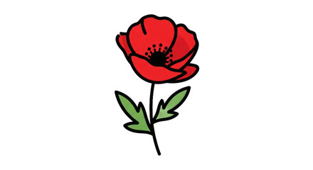 Obraz premium Red poppy flower illustration