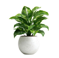 Vibrant green plant in a round, speckled white pot