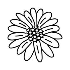 Sunflower Icon Vector
