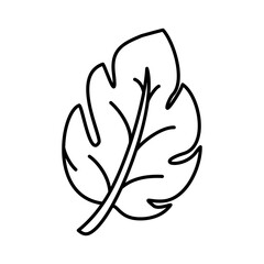 Leaf Icon Vector