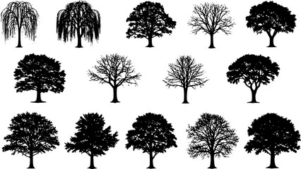Vector silhouette of tree on white background.
