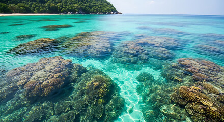 Koh Tao Shark Bay turquoise water and coral reef - Thailand marine landscape