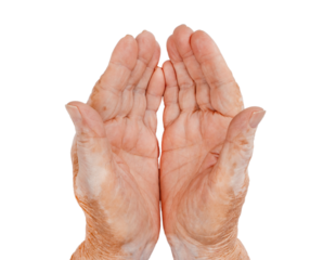 Close-up of elderly hands held together in a cupped gesture, isolated on white background.