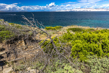 FKK naturist beach Ciganka on the island of Rab in Croatia, wild nature,