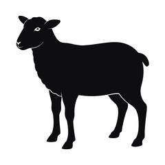 silhouette of a sheep