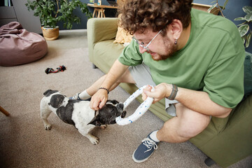 Young adult Caucasian man playing tug of war with French Bulldog indoors, smiling and leaning forward while holding ring toy, dog pulling enthusiastically on other end