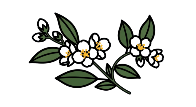 Floral branch illustration