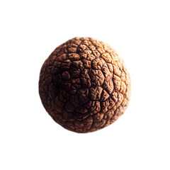 A single truffle mushroom hovering above a cloud of shaved truffle flakes, intense earthy tones with dramatic top-down spotlighting