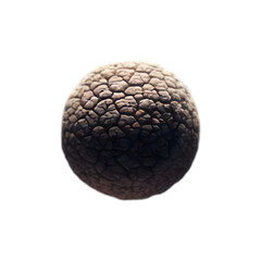 A single truffle mushroom hovering above a cloud of shaved truffle flakes, intense earthy tones with dramatic top-down spotlighting