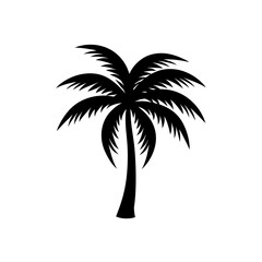 Obraz premium Silhouette of palm tree on transparent background