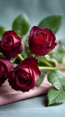 Fototapeta premium Elegant bouquet of two-toned burgundy and pink roses in a vase with a blurred background. Perfect for romantic, wedding, and celebration concepts