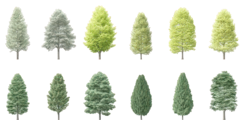 Collection of Various Green and Yellowish Conical Trees on Transparent Background