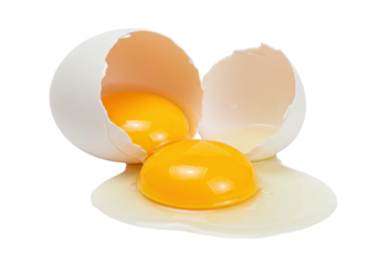 Isolated broken egg with two yolks spilling, shells open on a plain surface, a food item