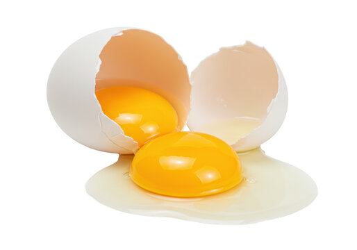 Isolated broken egg with two yolks spilling, shells open on a plain surface, a food item