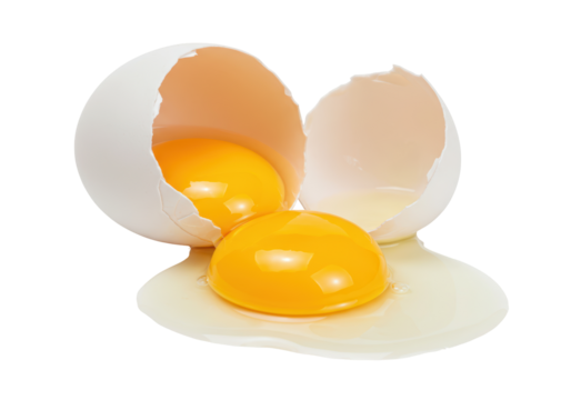 Isolated broken egg with two yolks spilling, shells open on a plain surface, a food item