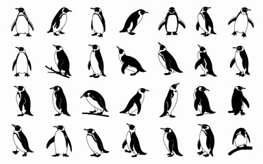 silhouettes of women