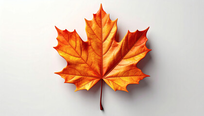 Fototapeta premium Realistic 3D maple leaf icon on white background, detailed veins and edges, lifelike autumn foliage, high-quality 3D rendering, minimalistic botanical design element