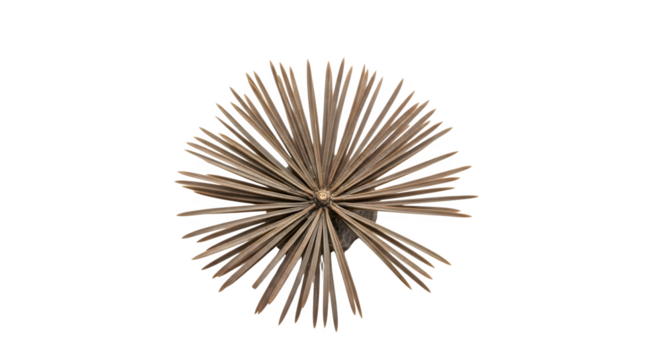 Golden spiky ball isolated on transparent background decorative sphere with sharp spikes abstract geometric shape modern art sculpture home decor