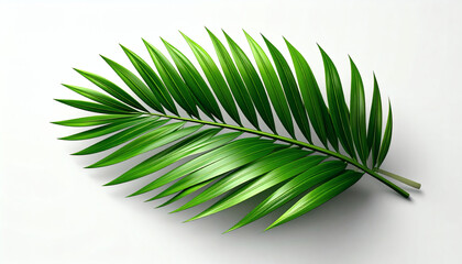 Obraz premium Realistic 3D palm leaf icon on white background, detailed fronds texture, lifelike tropical foliage, high-quality 3D rendering, minimalistic botanical design element
