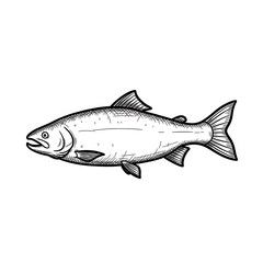 Obraz premium Detailed silhouette of a carp fish in profile facing right on a black background transparent background