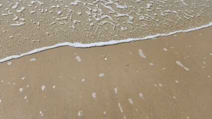 Sea water wave and sand beach with seashell background for decoration on summer holiday and coastal concept.