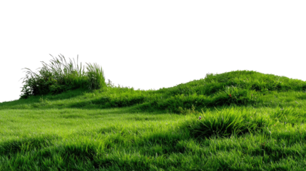 Green Meadow: A vibrant vista unfolds, with lush green grasses, natural contours, and a refreshing sense of freedom, an inviting foreground.