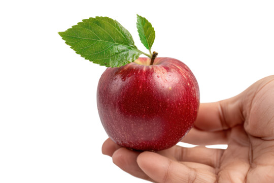 Hand holding a red apple with a green leaf attached on transparent background