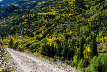 A rustic trail meanders through a forest painted in fall colors.