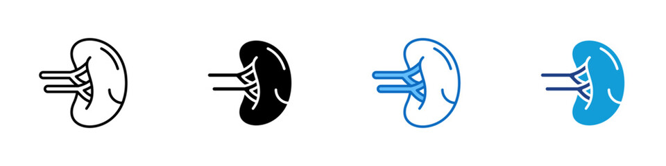 Kidney Multiple Style Icon Sheet Design Vector - Illustration of human kidney with renal vessels, symbolizing urinary system and nephrology