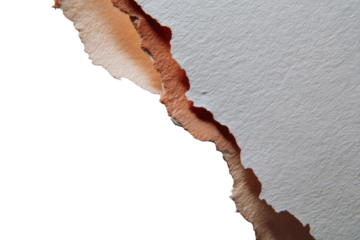 Ripped paper, showing a torn edge against a contrasting background