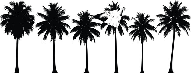 Palm tree silhouette set with symbolic star and blue highlight, tropical vector illustration for nature, design, and artistic concept themes